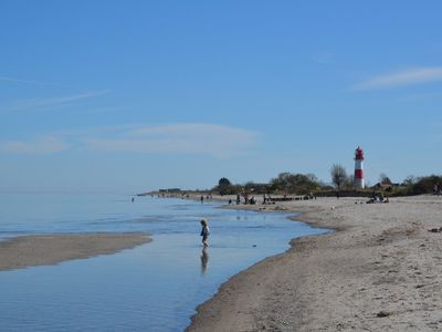 Strand Falshöft