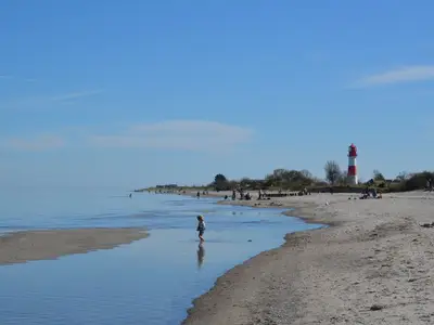 Strand Falshöft