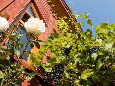Ferienwohnung für 3 Personen (96 m²) in Nieby 6/10