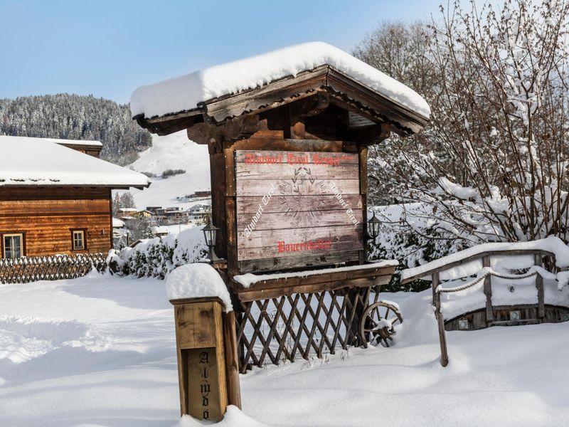 23895975-Ferienwohnung-7-Niederau (Kufstein)-800x600-2