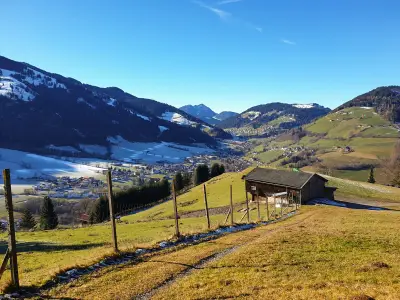 Ferienwohnung für 4 Personen (32 m²) in Niederau (Kufstein) 9/10