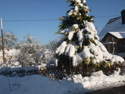ExteriorWinter
