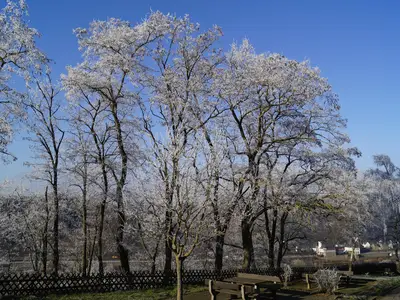 Bild Niederfell 1