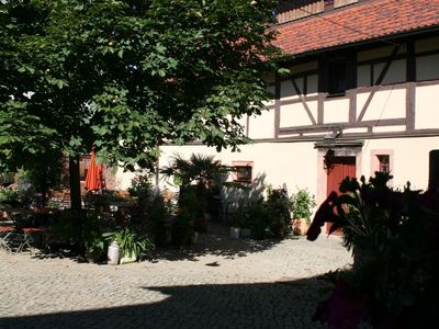 IMG_6536 IMG_6536