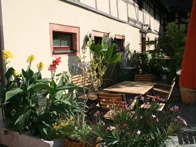 Ferienwohnung für 4 Personen (55 m²) in Niederfrohna 9/10