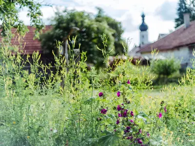 Garten 2