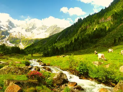 Ferienwohnung für 2 Personen (45 m²) in Niedermauern 9/10