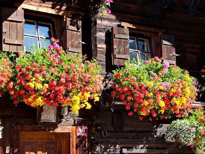 Blumen beim Ferienhaus Knor