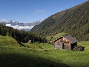 19405846-Ferienwohnung-6-Niederthai-300x225-4