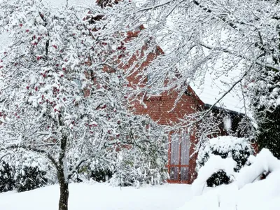Natur Ferienpark Winter