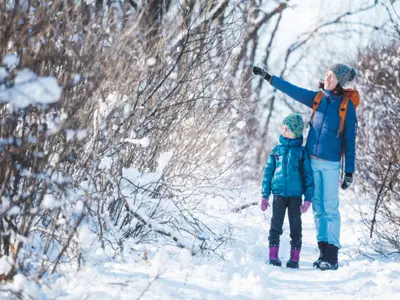 Teutoburger Wald Ausflug Winter