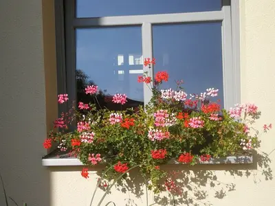 Ferienwohnung für 5 Personen (3 m²) in Nienburg (Saale) 4/10