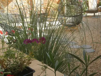 Ferienwohnung für 5 Personen (3 m²) in Nienburg (Saale) 5/10