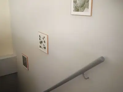 Ferienwohnung für 4 Personen (30 m²) in Nienburg (Saale) 10/10