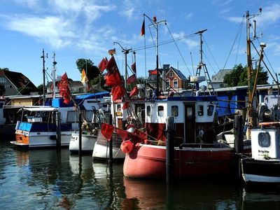 Ferienwohnung für 3 Personen (45 m²) in Niendorf/Ostsee 10/10