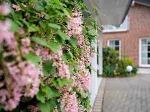 Ferienwohnung für 4 Personen (60 m²) in Niendorf/Ostsee