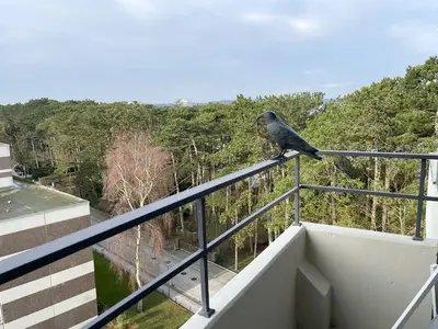 Ferienwohnung für 3 Personen (44 m²) in Niendorf/Ostsee 9/10