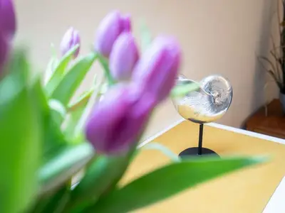 Ferienwohnung für 2 Personen (40 m²) in Niendorf/Ostsee 8/10