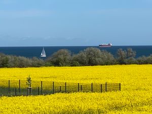 22810375-Ferienwohnung-4-Nienhagen (Ostseebad)-300x225-2