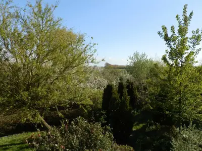 Ferienwohnung für 6 Personen (55 m²) in Nienhagen (Ostseebad) 5/10