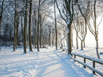 Ferienwohnung für 6 Personen (84 m²) in Nienhagen (Ostseebad) 2/10