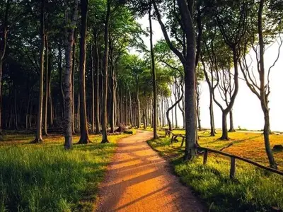 Ferienwohnung für 7 Personen (79 m²) in Nienhagen (Ostseebad) 8/10