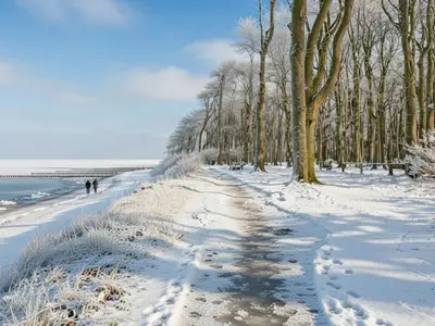 Ferienwohnung für 4 Personen (49 m²) in Nienhagen (Ostseebad) 4/10