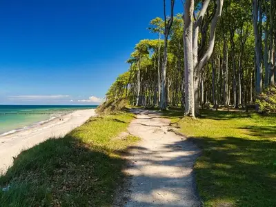 Ferienwohnung für 4 Personen (49 m²) in Nienhagen (Ostseebad) 10/10