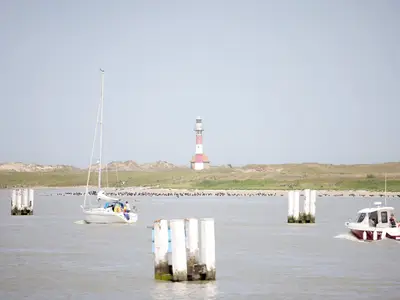 AreaSummer1KM