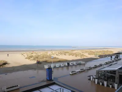 ViewSummer