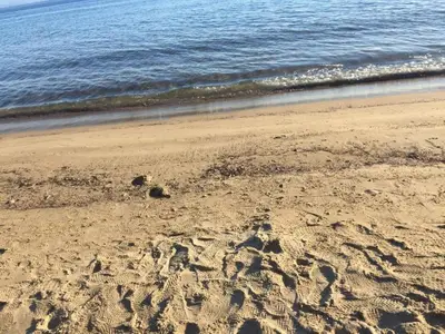 Ferienwohnung für 3 Personen (42 m²) in Nikiti 9/10