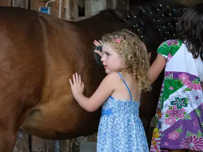 Ponystriegeln und anschließendes Reiten