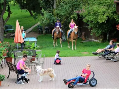 Bio-Erlebnisbauernhof Doll - Haflingerhof