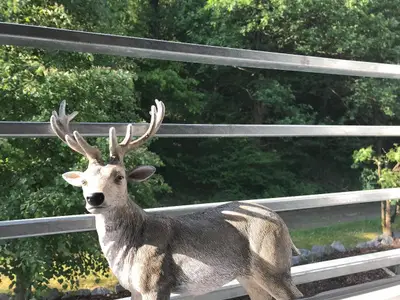 Appartementhaus Angelika