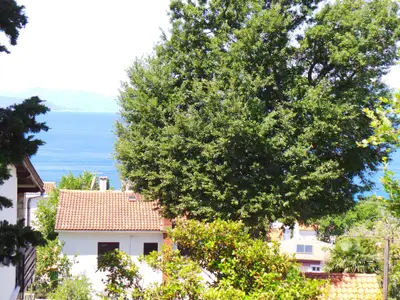 Ferienwohnung für 3 Personen (40 m²) in Njivice 6/10