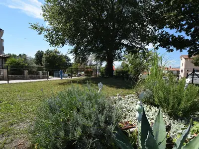 Bild 10