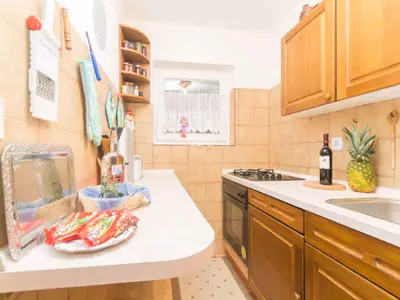 Ferienwohnung für 4 Personen (50 m²) in Njivice 9/10