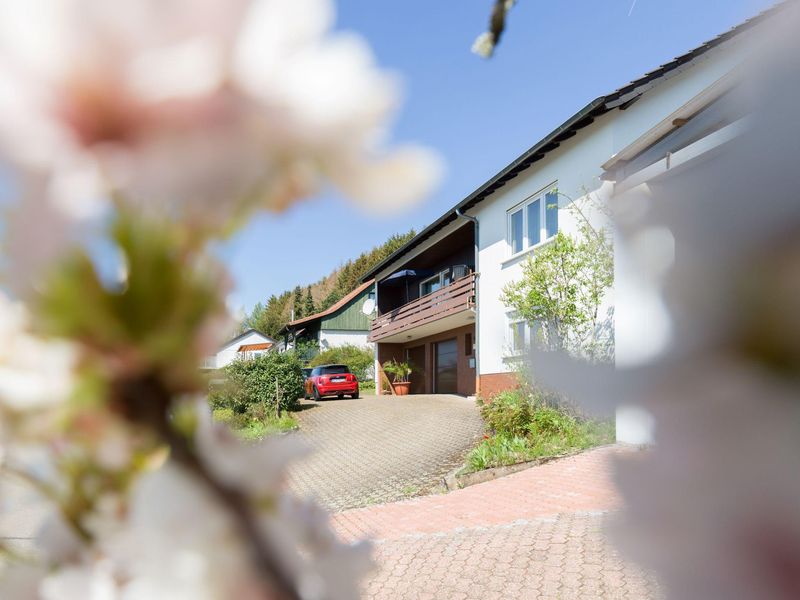 19474281-Ferienwohnung-6-Nohfelden-800x600-1