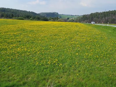 Blick auf Nohn