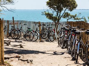 23849738-Ferienwohnung-2-Noirmoutier-en-l'lle-300x225-0