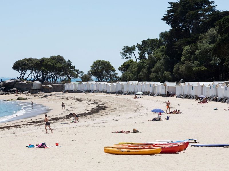 23849738-Ferienwohnung-2-Noirmoutier-en-l'lle-800x600-1