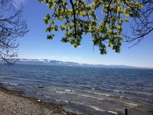 Frühling am See