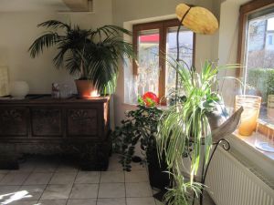 22379183-Ferienwohnung-3-Nonnenhorn-300x225-1