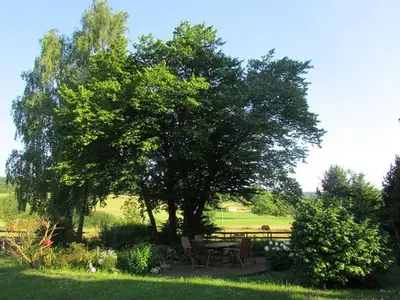 Ferienwohnung für 4 Personen (85 m²) in Nonnweiler 3/10
