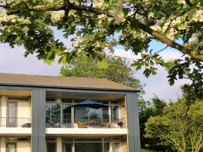 ExteriorSummer