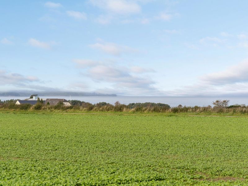 23748055-Ferienwohnung-4-Nordborg-800x600-1