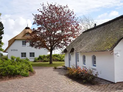 Ferienwohnung für 4 Personen (80 m²) in Norddorf 1/10