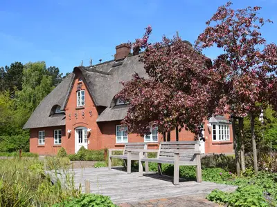 Hauptansicht