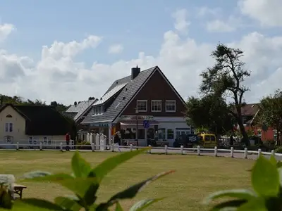 Ferienwohnung für 4 Personen (50 m²) in Norddorf 1/6