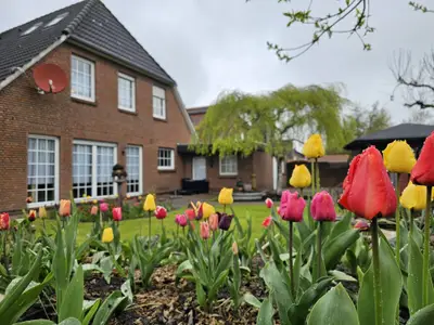 Gartenblick